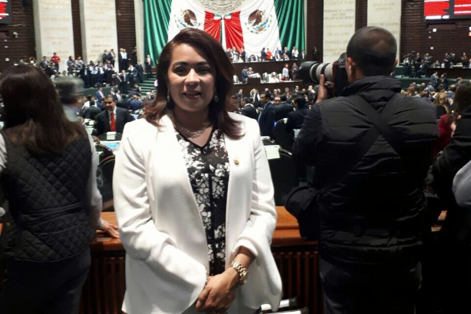 VIOLAN LA CONSTITUCIÓN VERACRUZANA: CITLALI MEDELLIN CAREAGA