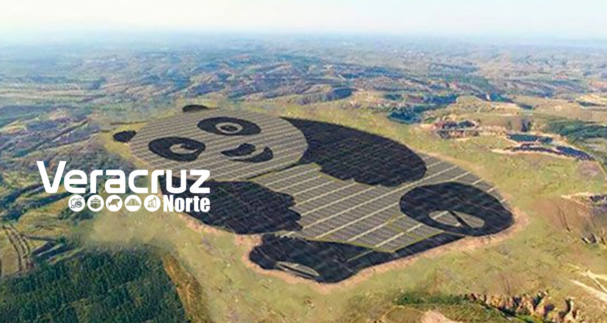 Granja solar con la forma de panda en China
