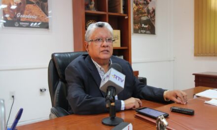 Entrega de apoyos de manera transparente: Guzmán Avilés