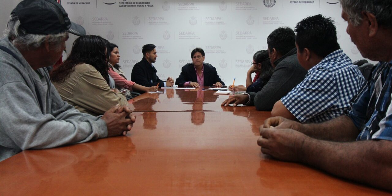 Atiende Sedarpa al Consejo Nacional Campesina LIMAKXTUM, AC