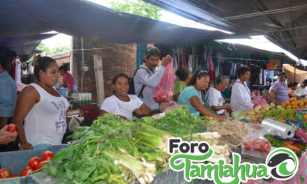 Tianguistas de Tamiahua con bajas ventas