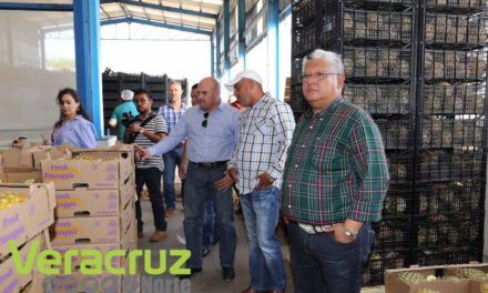 Diálogo permanente con los productores: Guzmán Avilés