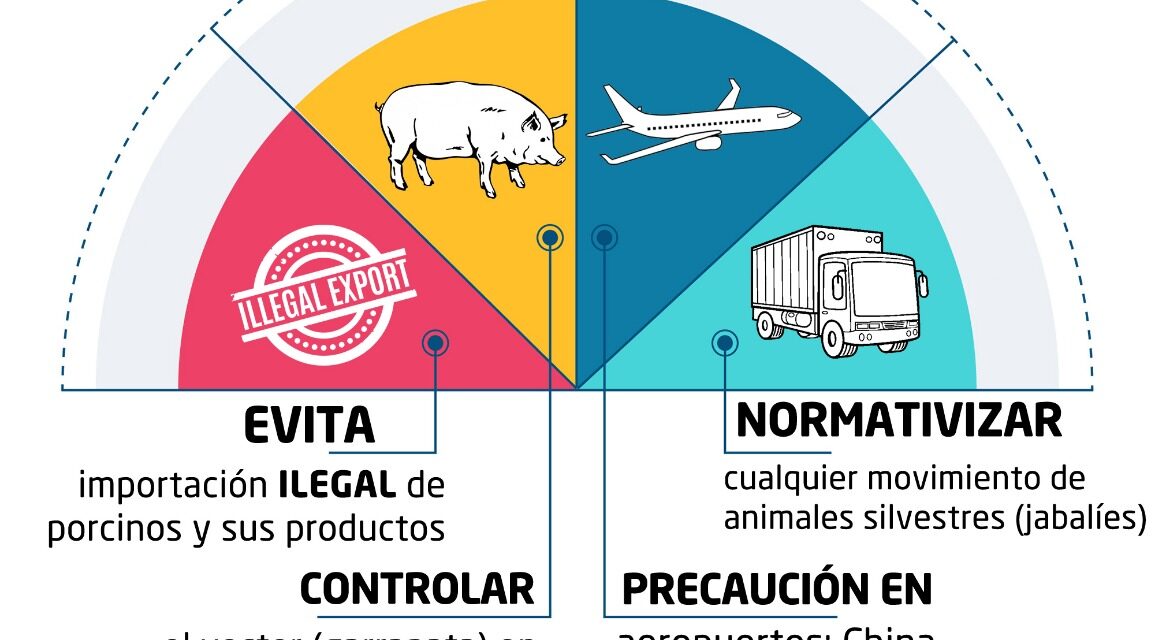 Establecen medidas preventivas para evitar introducción de la PPA