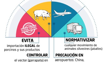 Establecen medidas preventivas para evitar introducción de la PPA