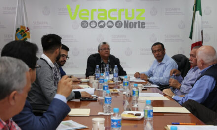 Preside Guzmán Avilés sexta sesión del FIVERFAP