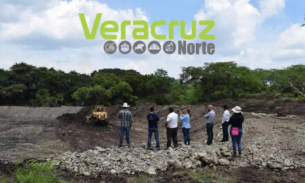 Apoya Sedarpa a productores de la región de Las Altas Montañas