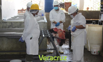 Evalúan rastro de Tuxpan para certificación