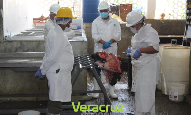 Evalúan rastro de Tuxpan para certificación