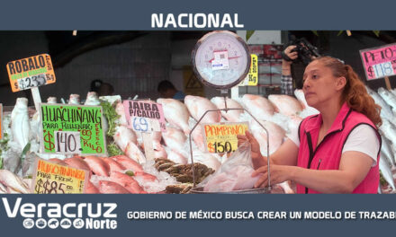 GOBIERNO DE MÉXICO BUSCA CREAR UN MODELO DE TRAZABILIDAD