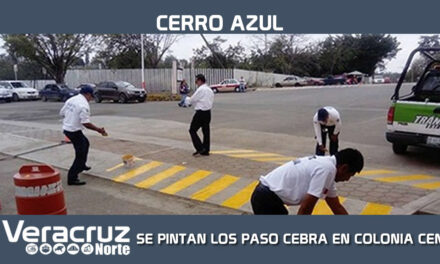 SE PINTAN LOS PASO CEBRA EN COLONIA CENTRO