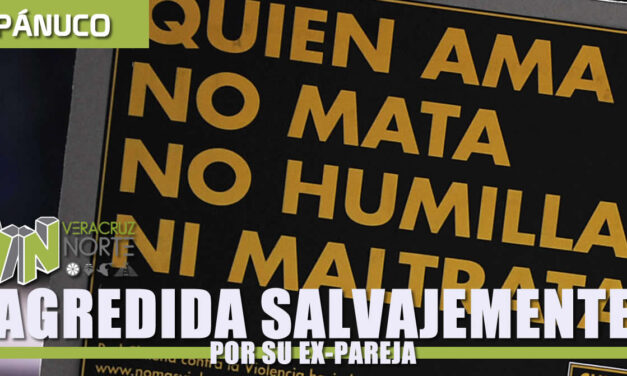 Agredida Salvajemente por su EX-PAREJA