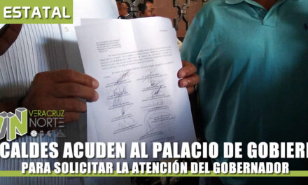 ALCALDES ACUDEN AL PALACIO DE GOBIERNO
