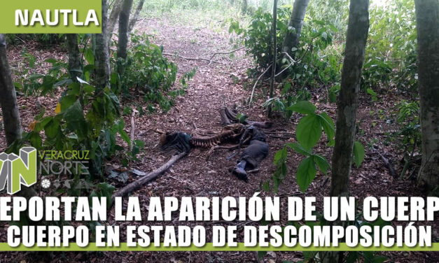 REPORTAN LA APARICIÓN DE UN CUERPO EN DESCOMPOSICIÓN