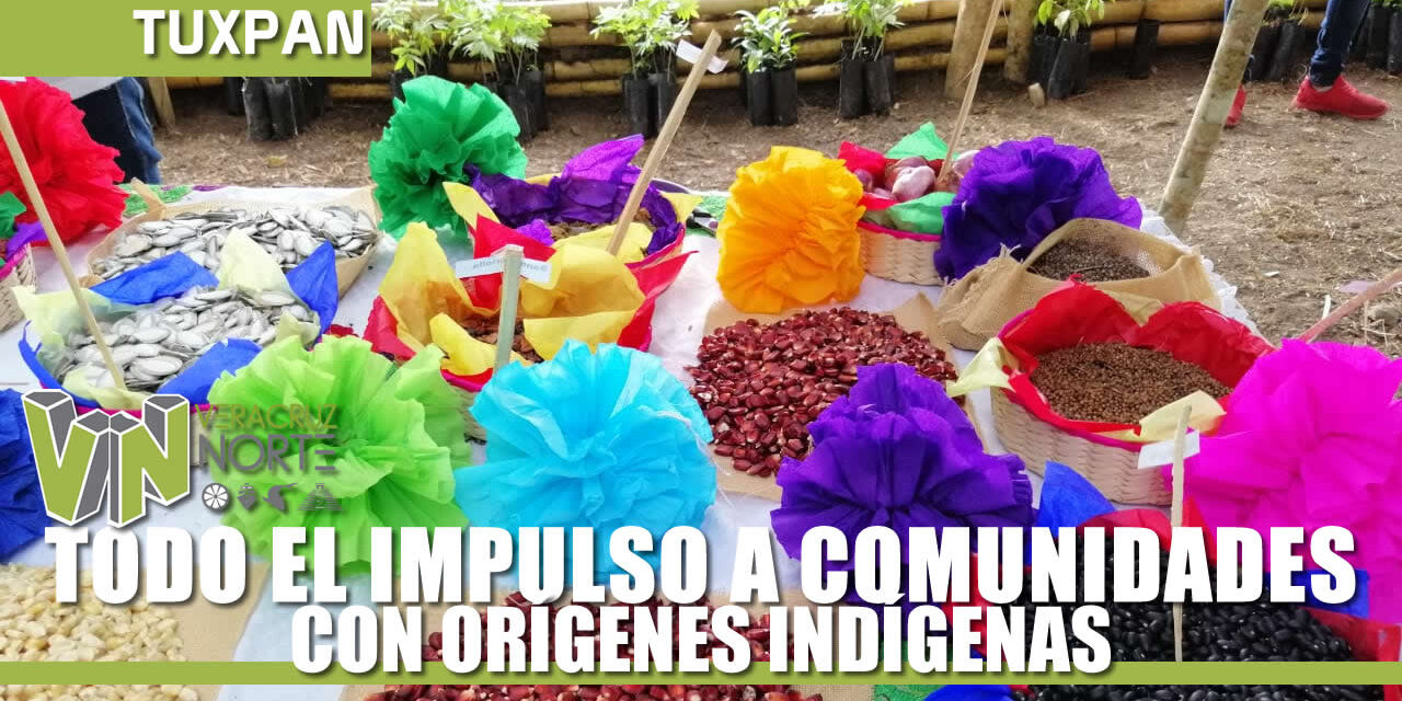 TODO EL IMPULSO A COMUNIDADES CON ORÍGENES INDÍGENAS