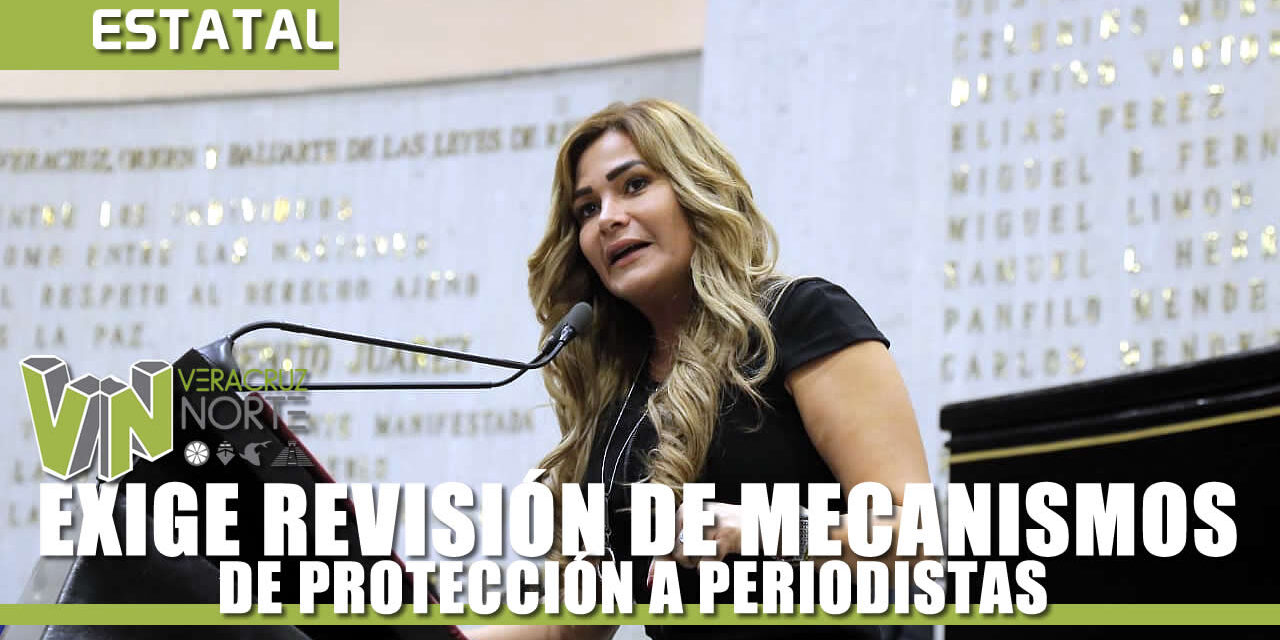 REVISIÓN DE MECANISMOS DE PROTECCIÓN A PERIODISTAS