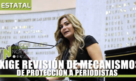REVISIÓN DE MECANISMOS DE PROTECCIÓN A PERIODISTAS