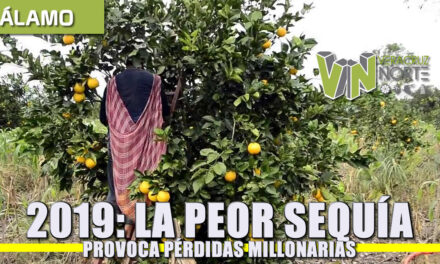 2019: LA PEOR SEQUÍA PROVOCA PÉRDIDAS MILLONARIAS