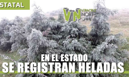 Se registran HELADAS en el Estado