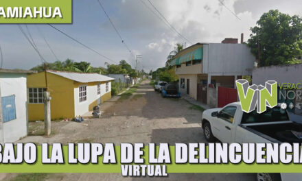 BAJO LA LUPA DE LA DELINCUENCIA VIRTUAL