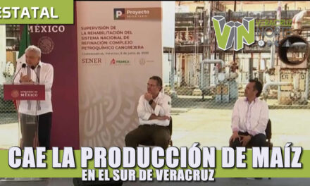 CAE LA PRODUCCIÓN DE MAÍZ EN EL SUR DE VERACRUZ