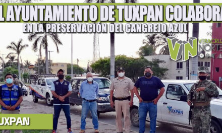 EL AYUNTAMIENTO DE TUXPAN COLABORA EN LA PRESERVACIÓN DEL CANGREJO AZUL
