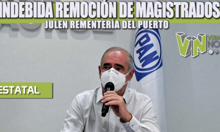 INDEBIDA REMOCIÓN DE MAGISTRADOS: JULEN REMENTERÍA DEL PUERTO