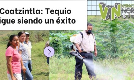 Coatzintla: Tequio sigue siendo un éxito