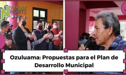 Ozuluama: Propuestas para el Plan de Desarrollo Municipal