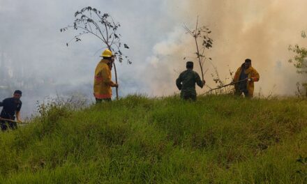 Chicontepec: Altas temperaturas provocan incendios