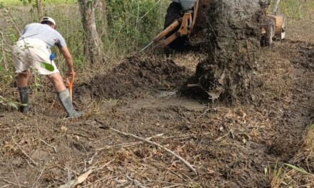 Ozuluama: Labores en la línea general del agua potable