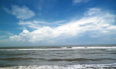 Visita playas y manglares de Tecolutla