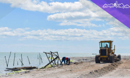Tamalin: «Faena de Playa» en San Jerónimo
