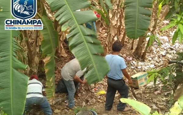 Chinampa: Continúa el programa de limpieza ambiental