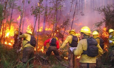 Tantoyuca: Día Internacional del Combatiente de Incendios Forestales