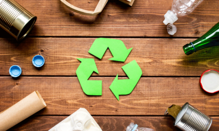 Gutiérrez Zamora: Reciclón Región Totonaca